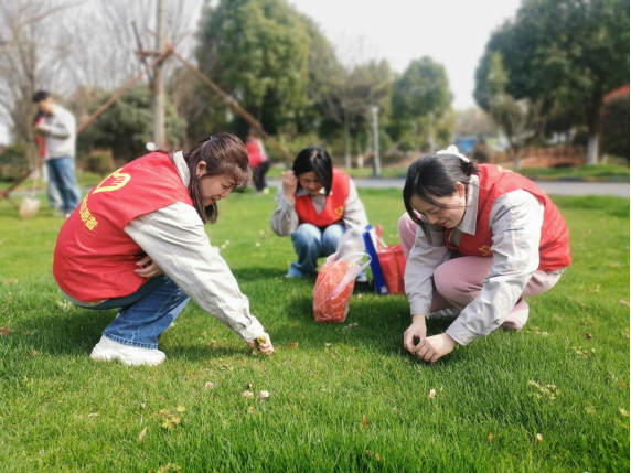 1717059355109134.png image.png